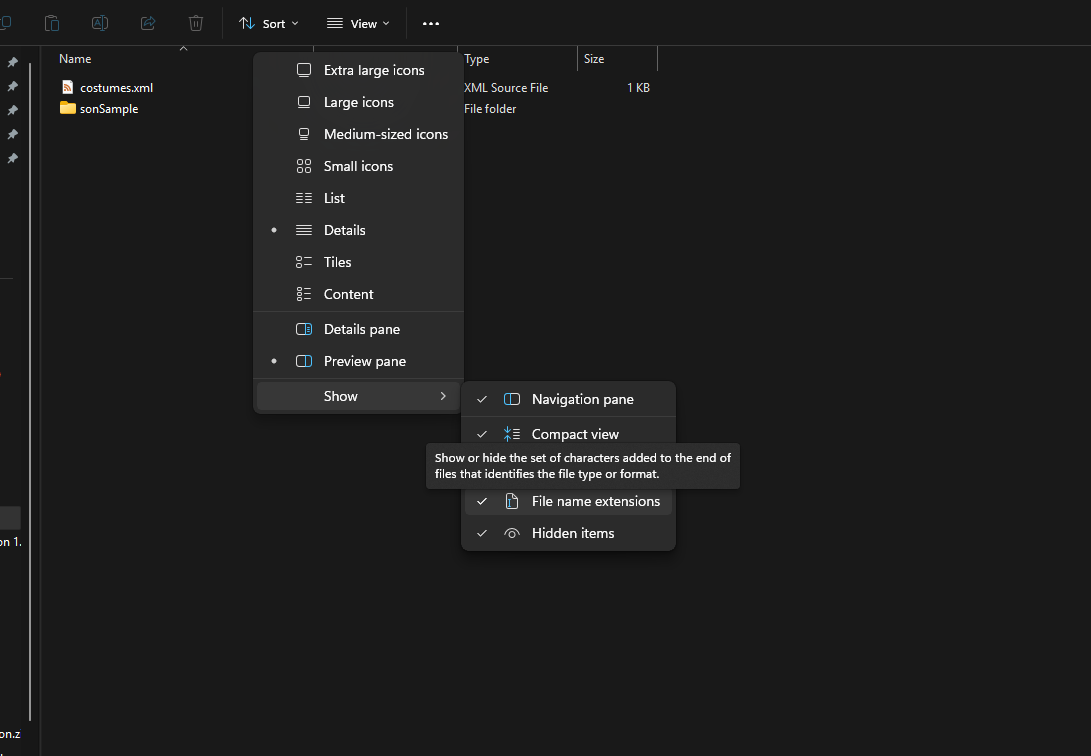 View / Show / File name extensions